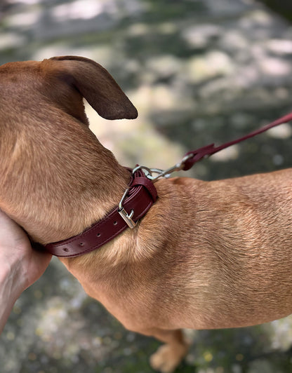 Correa Granada Tradicional