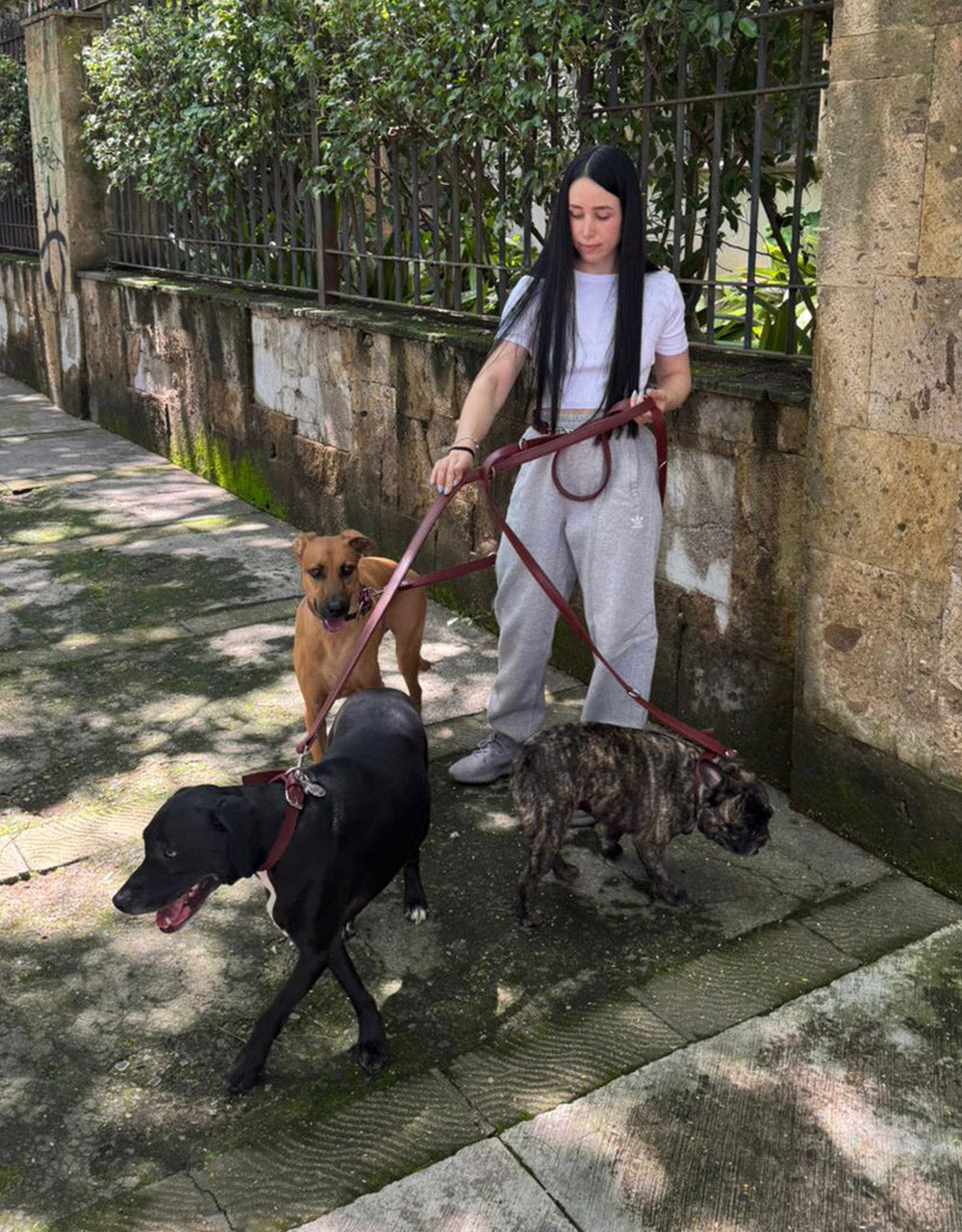 Correa Granada Tradicional