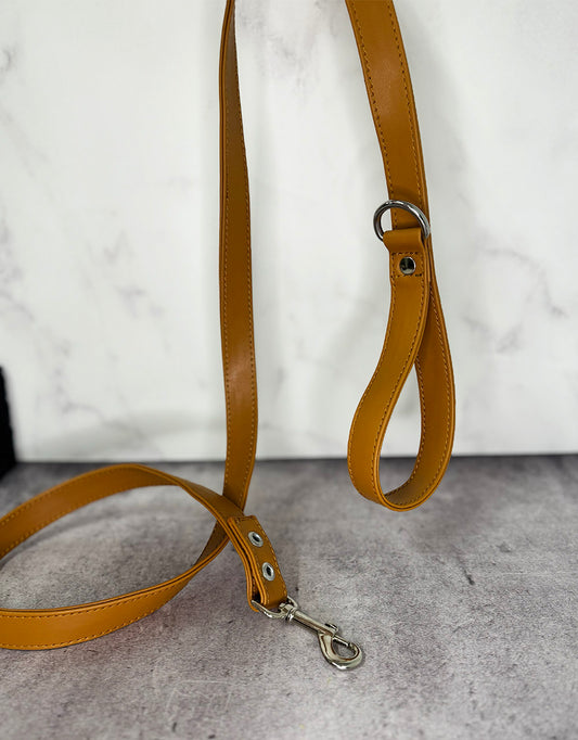 Correa Miel Tradicional