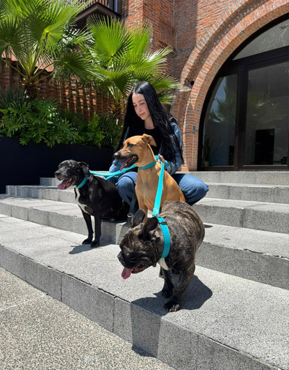 Correa Caribe Tradicional